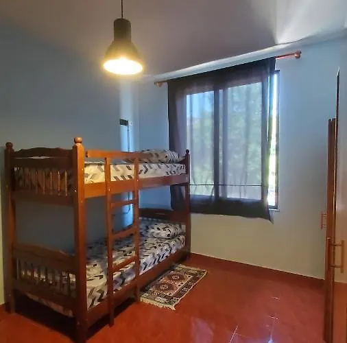 Auberge de jeunesse Traveler *