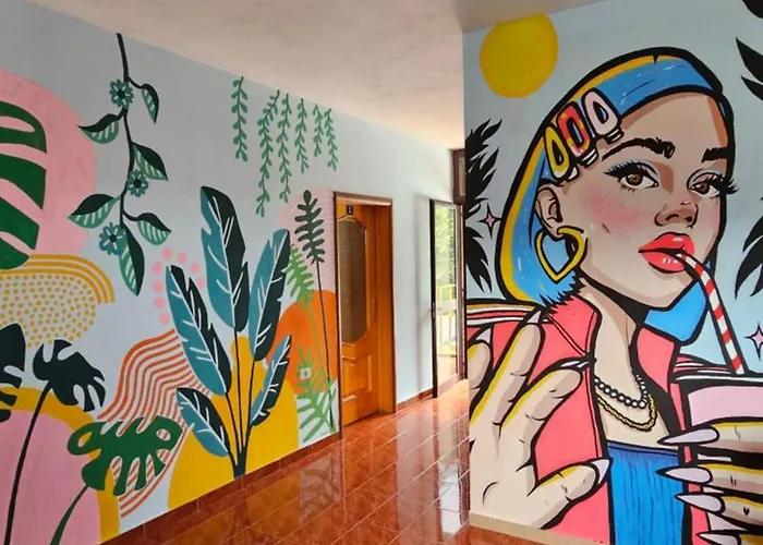 Auberge de jeunesse Traveler *