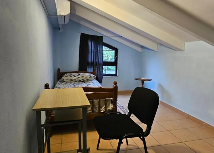 Auberge de jeunesse Traveler *