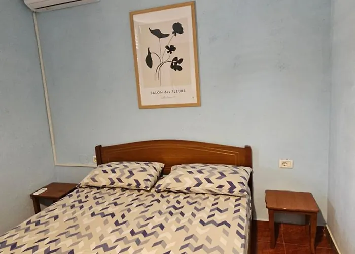 Auberge de jeunesse Traveler