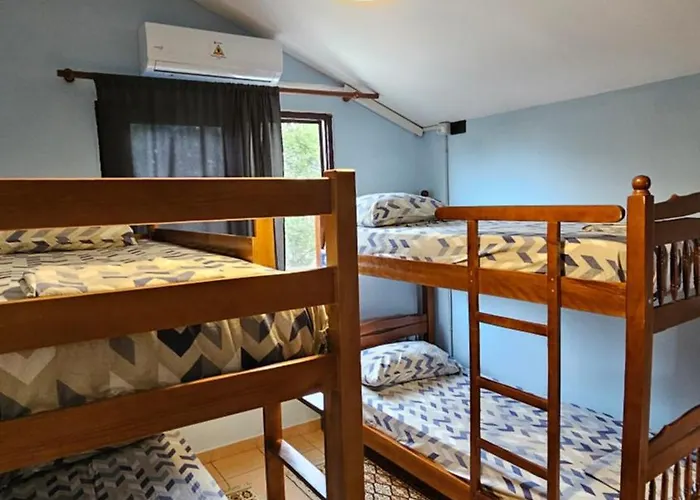 Traveler Auberge de jeunesse