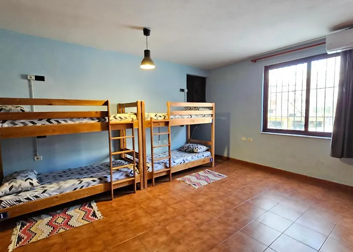 Auberge de jeunesse Traveler *