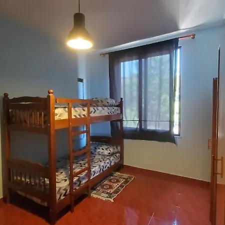 Hostel Traveler *