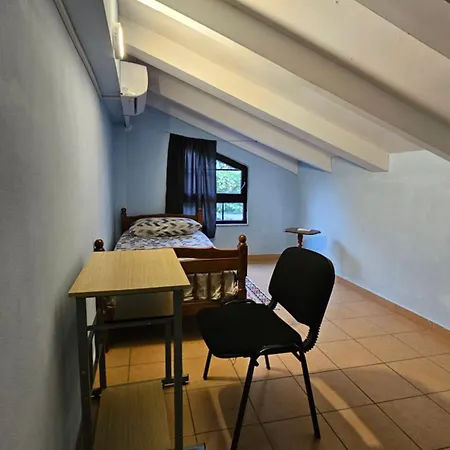 Hostel Traveler *