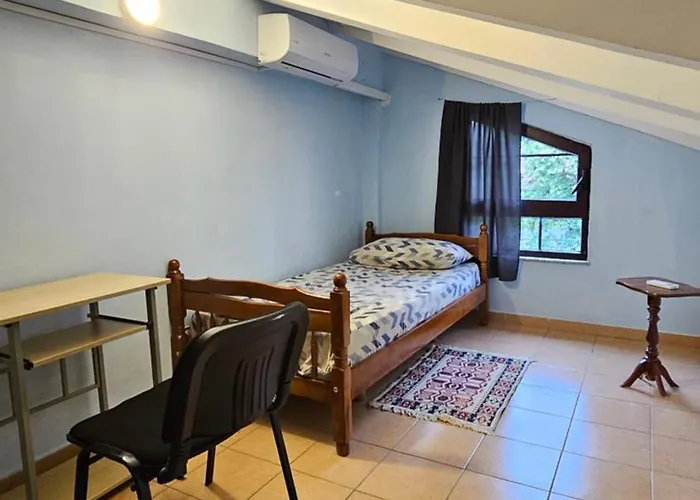 Traveler Auberge de jeunesse