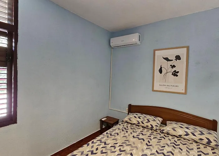 Auberge de jeunesse Traveler